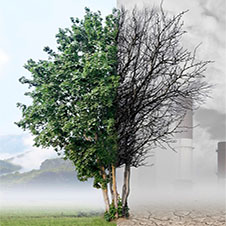 Airquality